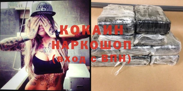 индика Абинск