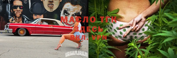 индика Абинск