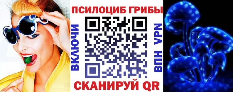 Галлюциногенные грибы GOLDEN TEACHER  Яхрома 